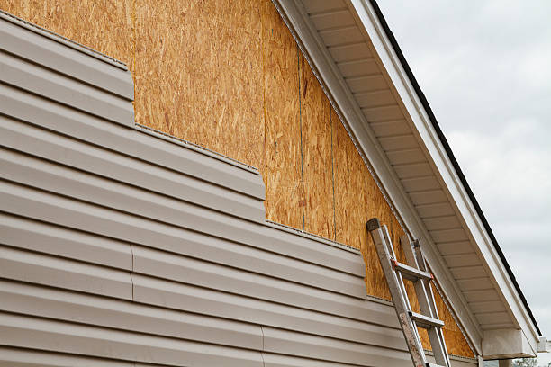 Professional Wood Siding technician working in Camden, TN